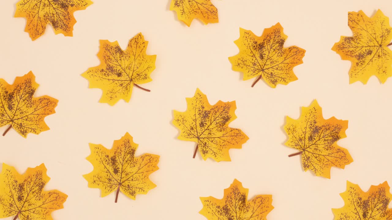 Yellow autumn leaves appear on beige background. Stop motion
