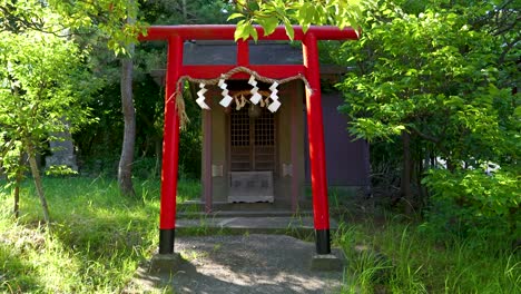 serene japanese shrine with red torii gate