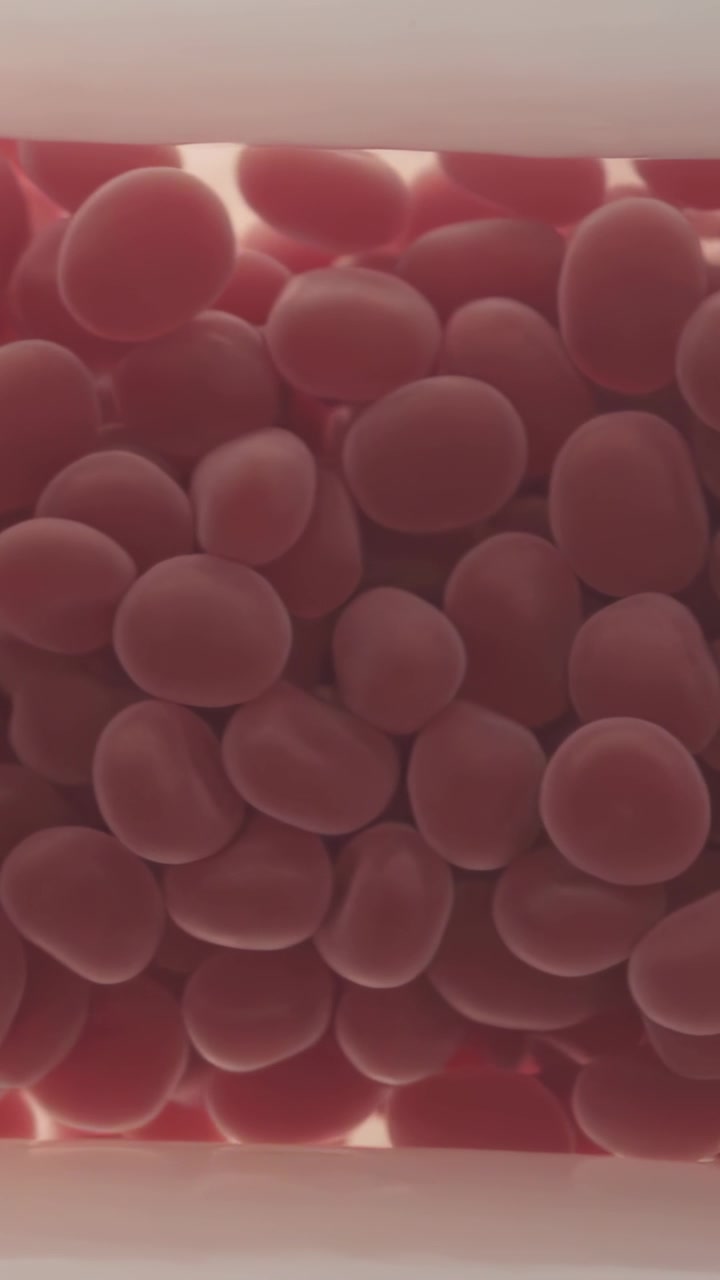 Vertical video: Flowing erythrocyte discs shifting and opening gaps inside narrow tube, soft light