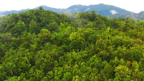 La-Naturaleza-Es-La-Definición-Misma-De-La-Belleza