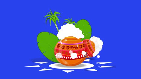 feliz fiesta de pongal saludos. animación con pantalla azul canal alfa. 4k