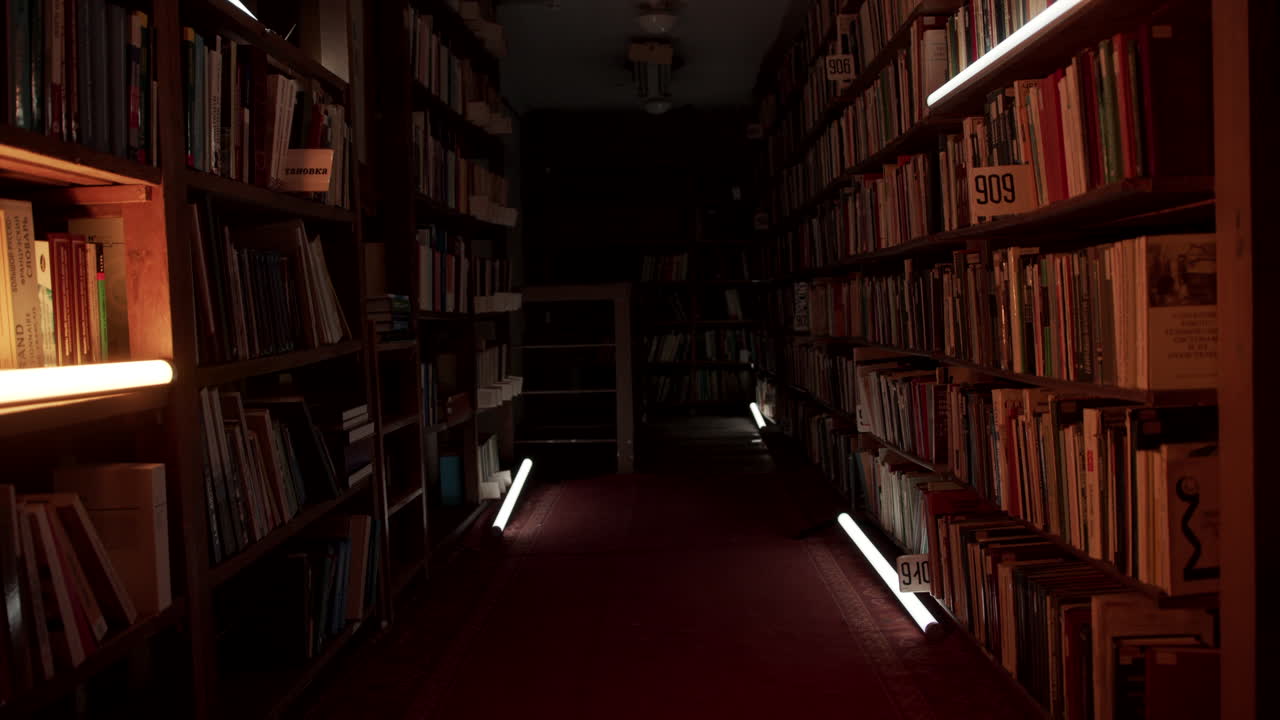 oscuro y largo corredor de la biblioteca