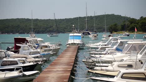 rows of boats tied-up and others moored in small marina