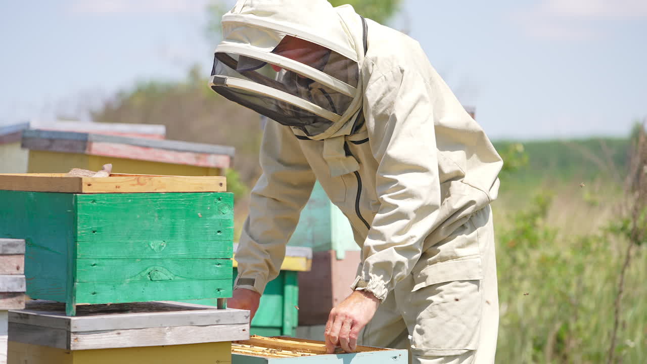 Adult male apiarist add up empty frames to a wooden beehive. Angry bees swarming around beekeeper. Sunny day background.
