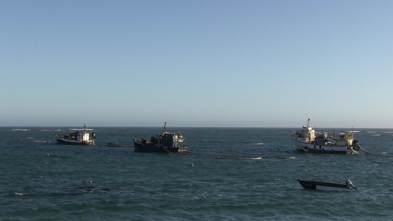 남아프리카 서해안의 다이아몬드 보트