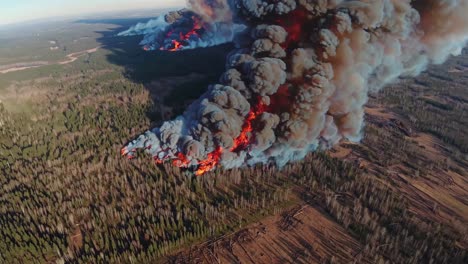 massive forest fire from above