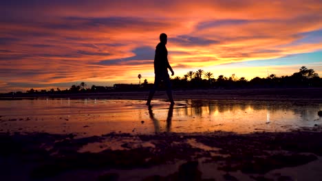 man walking through the water can not take his eyes off the beautiful sunset he contemplates, golden and red colors are drawn on a blue sky with clouds in flames, the scene is reflected on the water