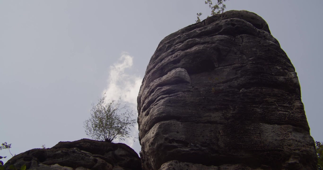 Et dramatisk lavvinkelbillede af forvitrede sandstenssøjler og små træer mod en lys himmel i Trosky-regionen i Tjekkisk Paradis. Ideel til rejse- og naturdokumentarer