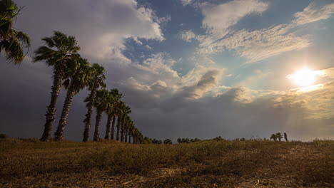 Video-De-Lapso-De-Tiempo-De-Nubes-Que-Se-Alejan-En-El-Cielo-Arriba-Con-Las-Bengalas-Del-Sol-Tocando-Los-Terrenos-Y-Los-árboles-Temblando-Con-El-Aire---Paisaje-Montañoso-De-Verano