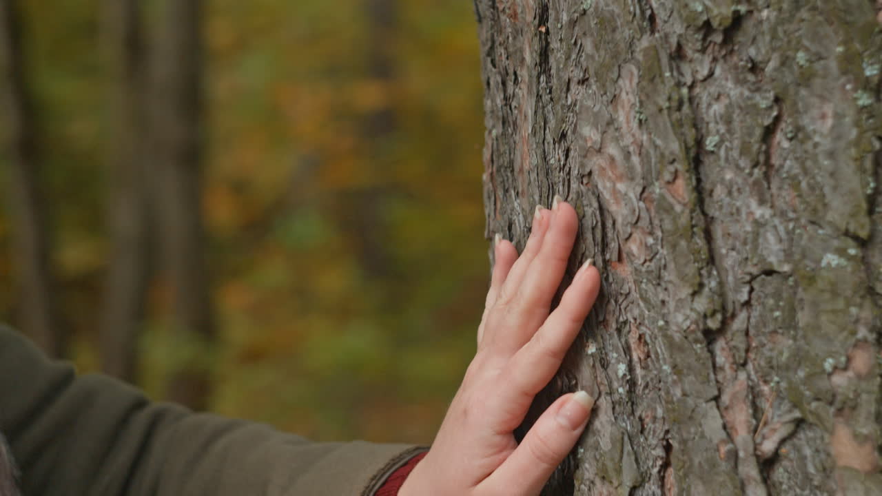 Woman touching a tree in nature