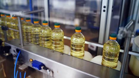 production of oil inside the factory. sunflower oil in the bottles moving on production line. factory for the production of refined sunflower oil.