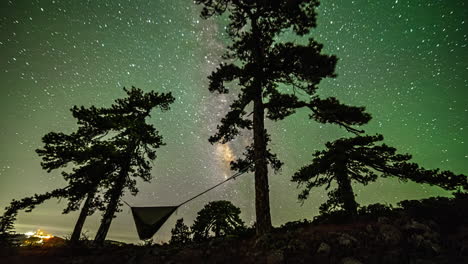 hammock hanged on the silhouetted tree with a starry and colorful sky at night