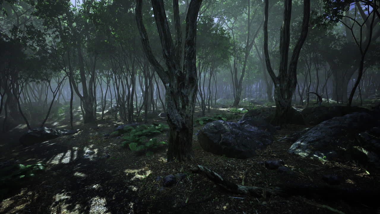 Mystical forest bathed in soft light and shadows revealing natures wonders