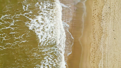 drone captures man and dog enjoying the beach, sand between their toes and waves in the background