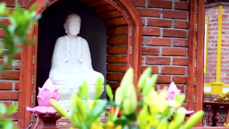 serene buddha statue surrounded by lush foliage