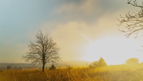 Foggy-or-misty-sunrise-in-wild-rural-landscape-in-early-morning,-timelapse