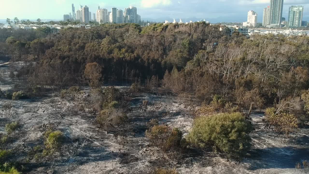 Vista aérea de um incêndio recente próximo a uma grande cidade