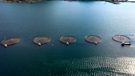 aerial footage farm salmon fishing in norway