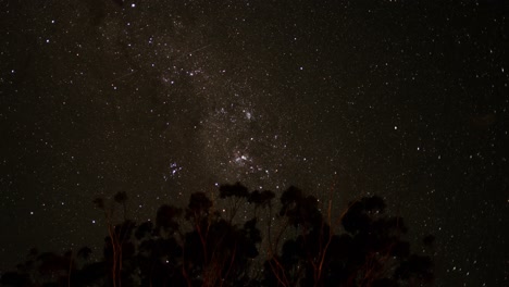 lapso de tiempo del cielo estrellado sobre siluetas de árboles oscuros