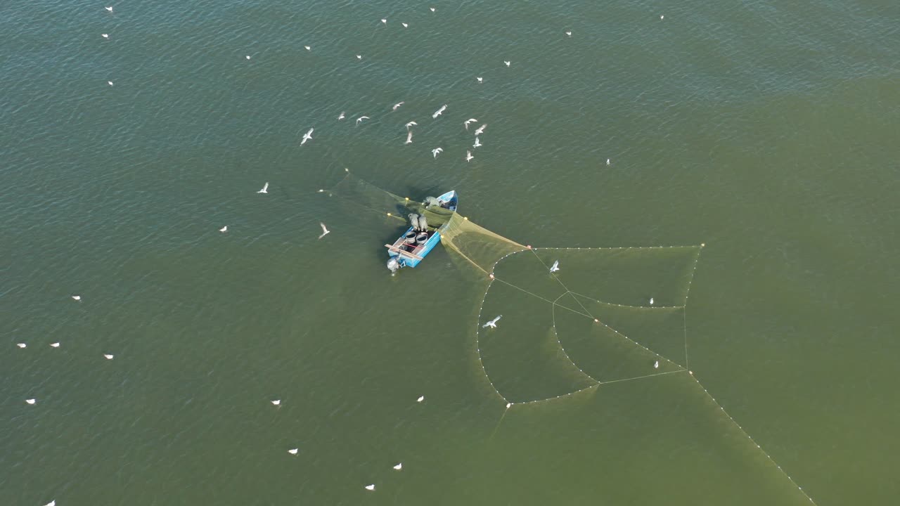 공중: 물고기를 잡으려고 하는 갈매기 동안 어부들은 물에 그물을 펼칩니다.