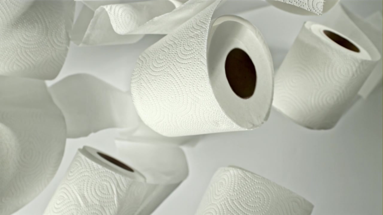 Many White Toilet Paper Rolls on a Clean Background