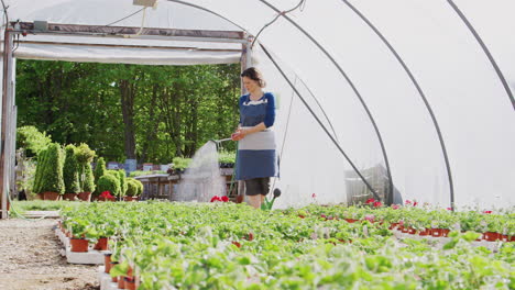 mujer madura trabajando en el centro de jardinería regando plantas en el invernadero