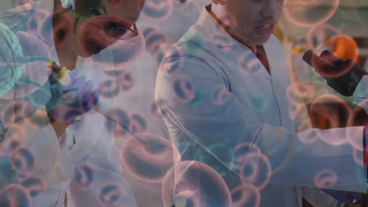 실험실에서 사람들을 대상으로 한 코로나바이러스 세포의 애니메이션