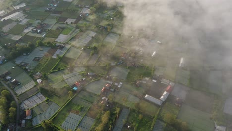 mount batur caldera village covered in mist during sunrise, aerial