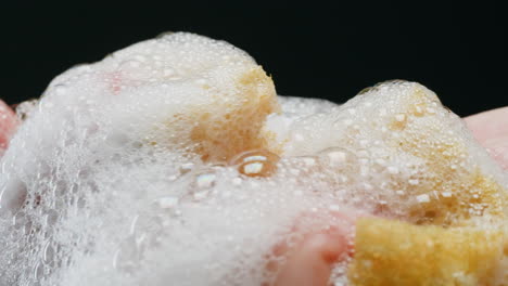 Hands washing a sponge with soap