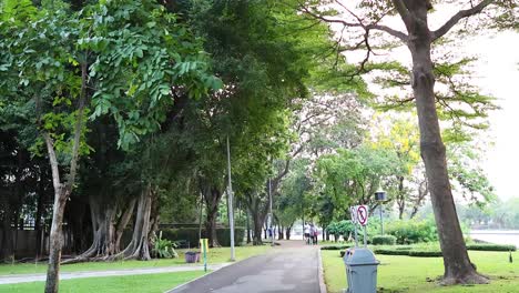 man jogging through a lush green park