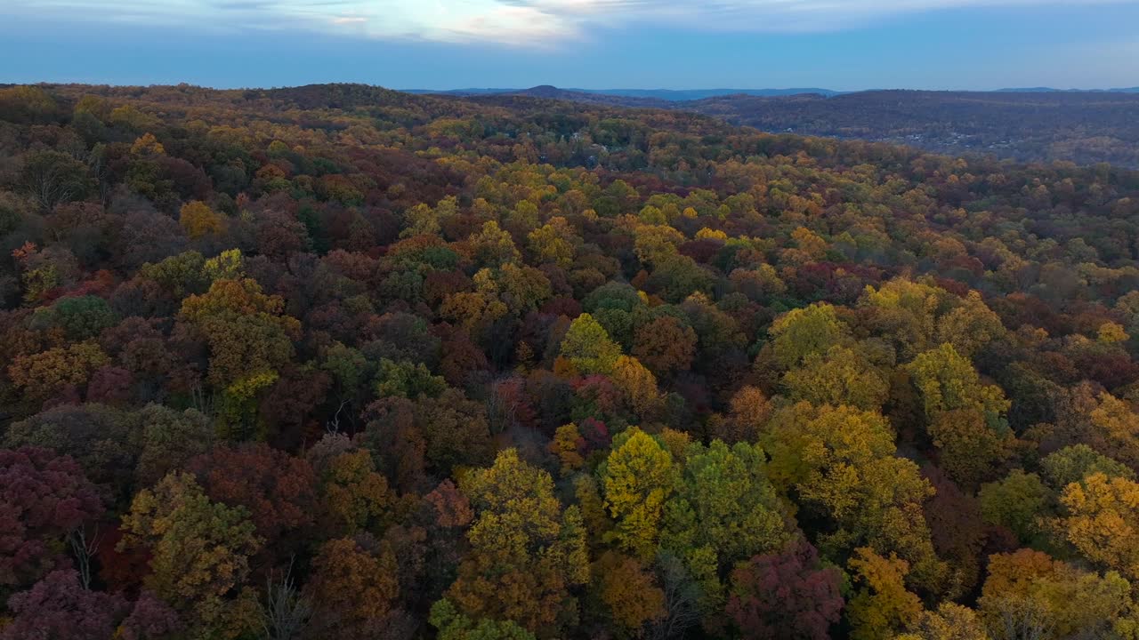 colorido follaje de otoño en la noche
