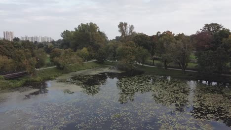 Drone-video-of-a-park-in-Warsaw-in-fall-season-with-green-trees-and-birds-flying