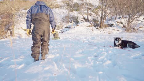 Perro-Malamute-De-Alaska-Comiendo-Mientras-El-Campista-Nivela-El-Suelo-Nevado-Con-Los-Pies