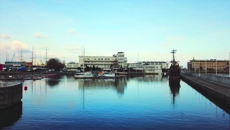 Drone-flying-around-birds-at-the-marina