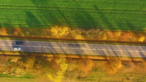 aerial view of road in beautiful autumn forest at sunset