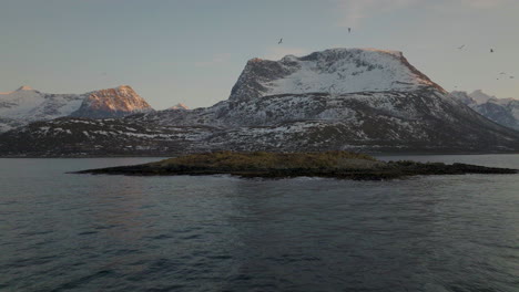 oystercatcher seagulls overfly an islet