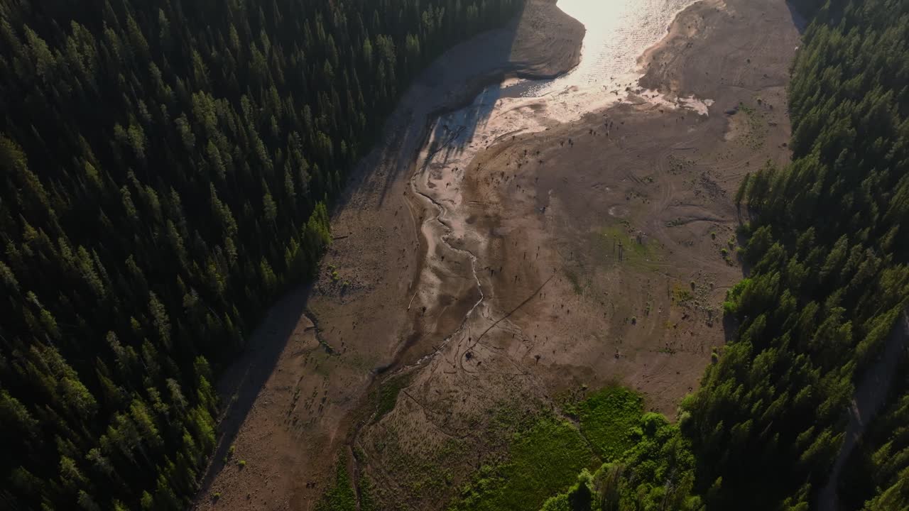Aerial view of lush forest next to serene grassy lake near Yellowstone