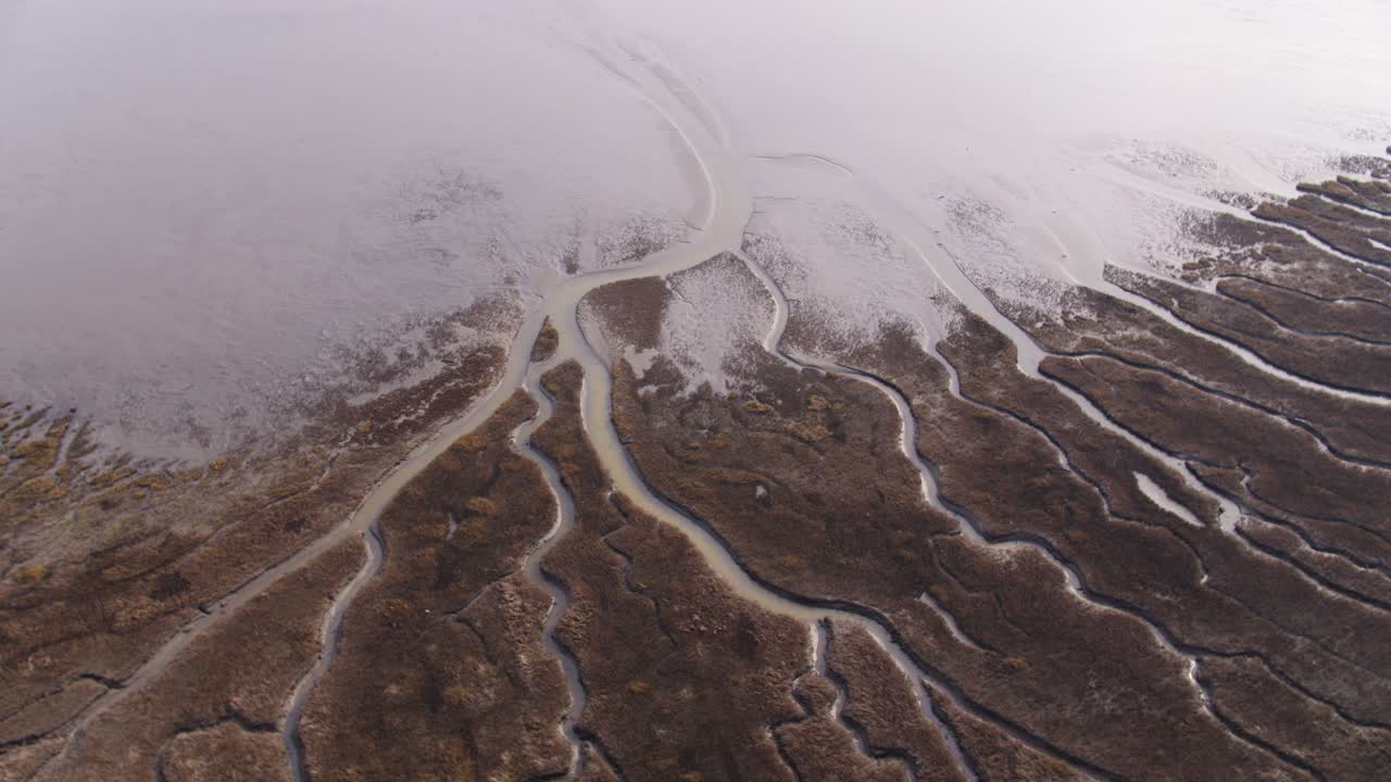 Aerial View of Intertidal Zone and Tidal Flats