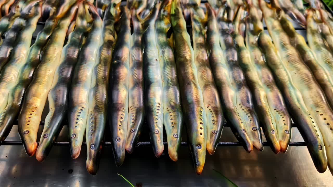 Freshly caught eels displayed on a metal rack in outdoor setting
