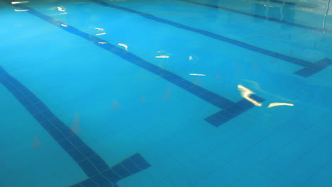 swimming path in waterpool. waves surface of water in swimming pool