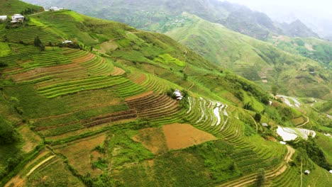 Riesiges-Tal-Voller-üppiger-Grüner-Und-Gelber-Reisterrassen-In-Nordvietnam