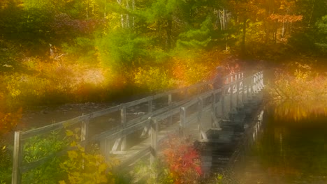 man walks on wood bridge in colorful fall leaves, dreamy handheld tracking wide