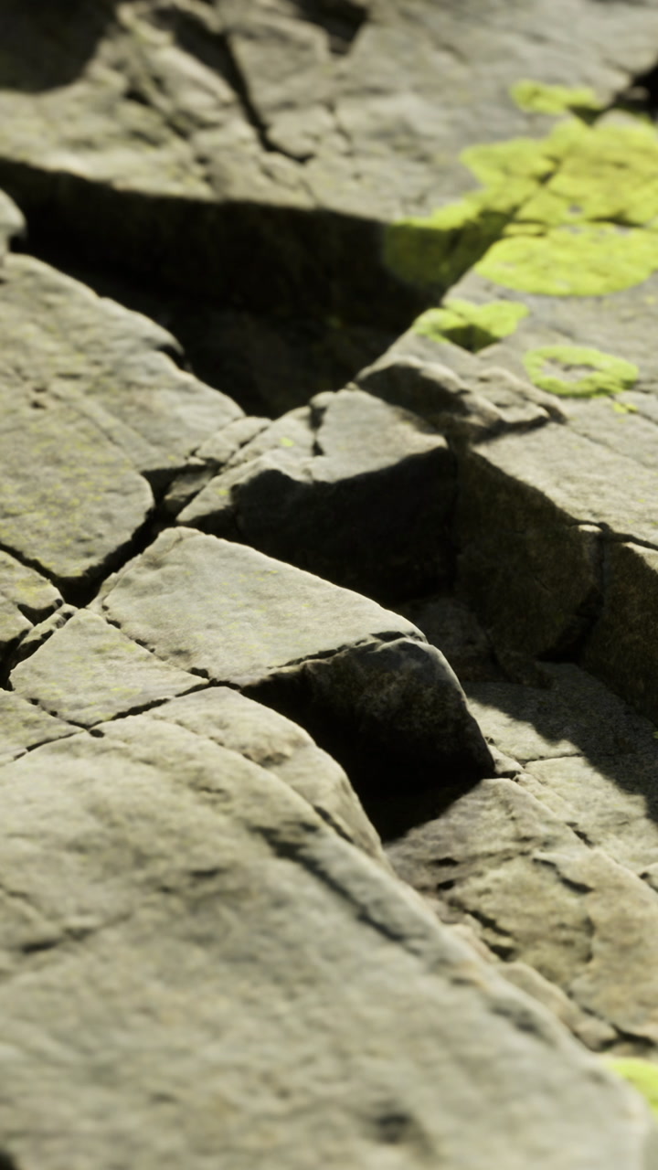 Detailed view of cracked rock surface with green moss in natural setting