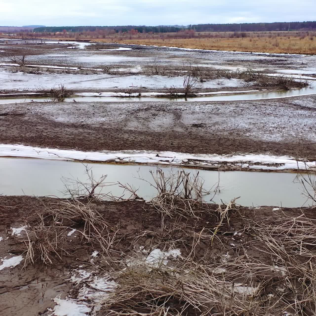 Environmental disaster on earth. Drought river with narrow stream of water. Death for plants in contaminate place. Climate change, ecology. Water problems