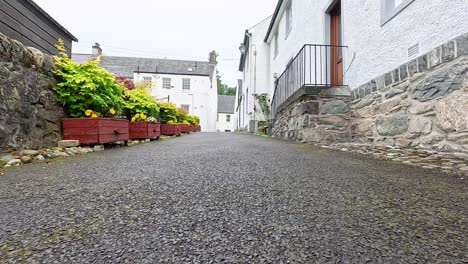 a serene alley with flower boxes