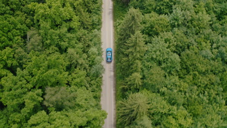 blue car moving on a road in summer. driving of a modern automobile along the road in the forest. electric car without any harm to nature. aerial orbital view.