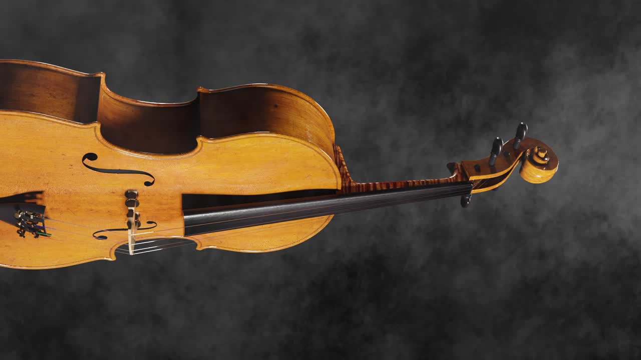 Beautiful tiger striped cello animation with glimmering light, vertical