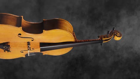 hermosa animación de violonchelo a rayas de tigre con luz reluciente, vertical