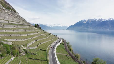 Drohnenaufnahmen-über-Einem-Weinberg-Mit-Autos,-Die-Am-Ufer-Eines-Sees-In-Der-Schweiz-Entlangfahren