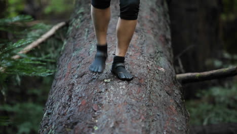 a woman walks across a fallen log in a forest